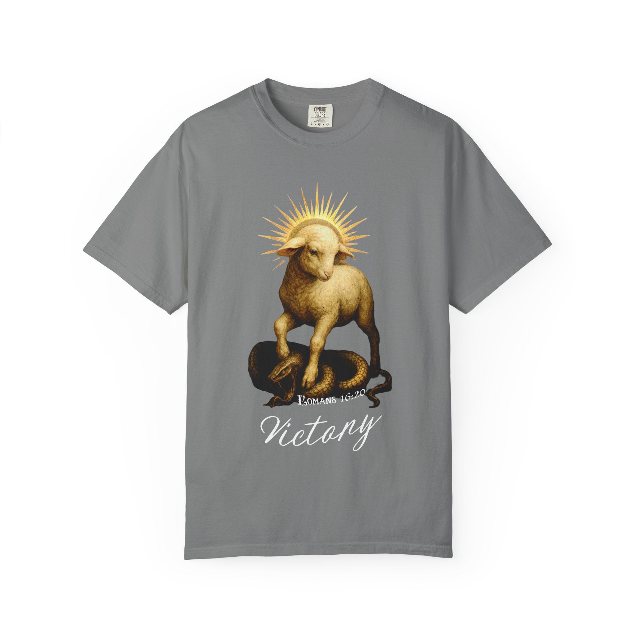 Gray t-shirt with a graphic of a ram and text on a white background