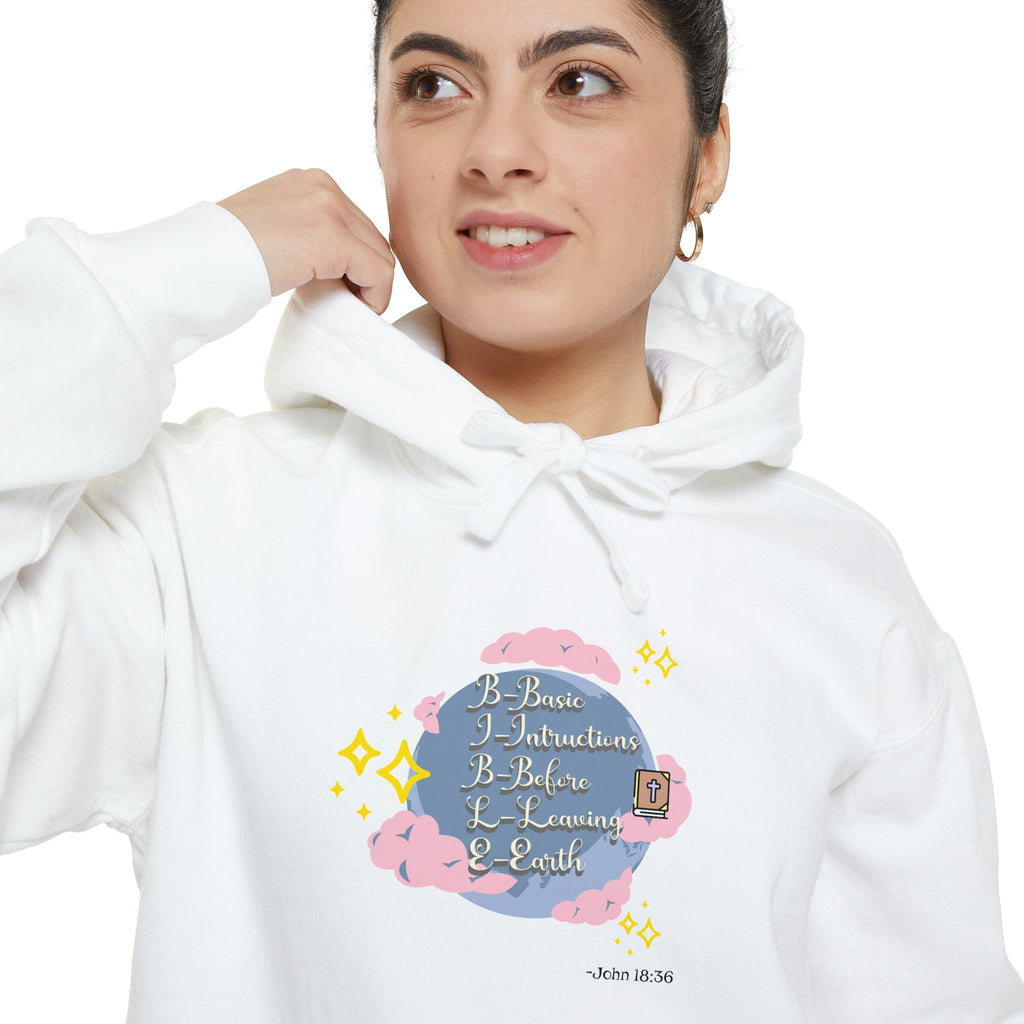 Bible World John 18:36 Hoodie