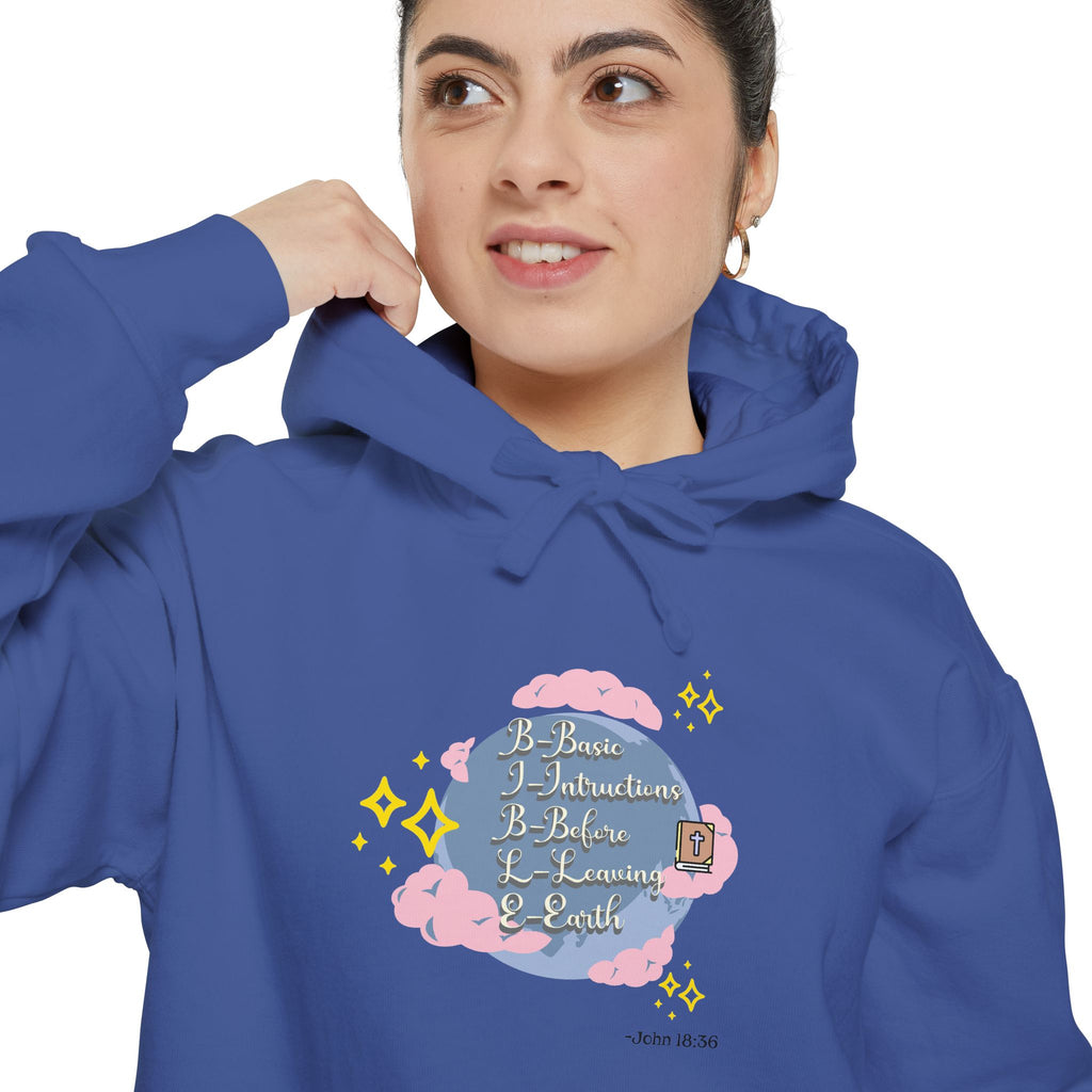Bible World John 18:36 Hoodie