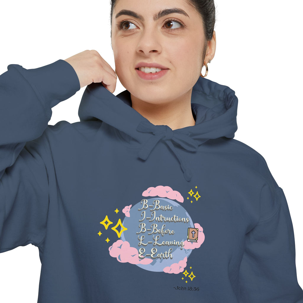 Bible World John 18:36 Hoodie