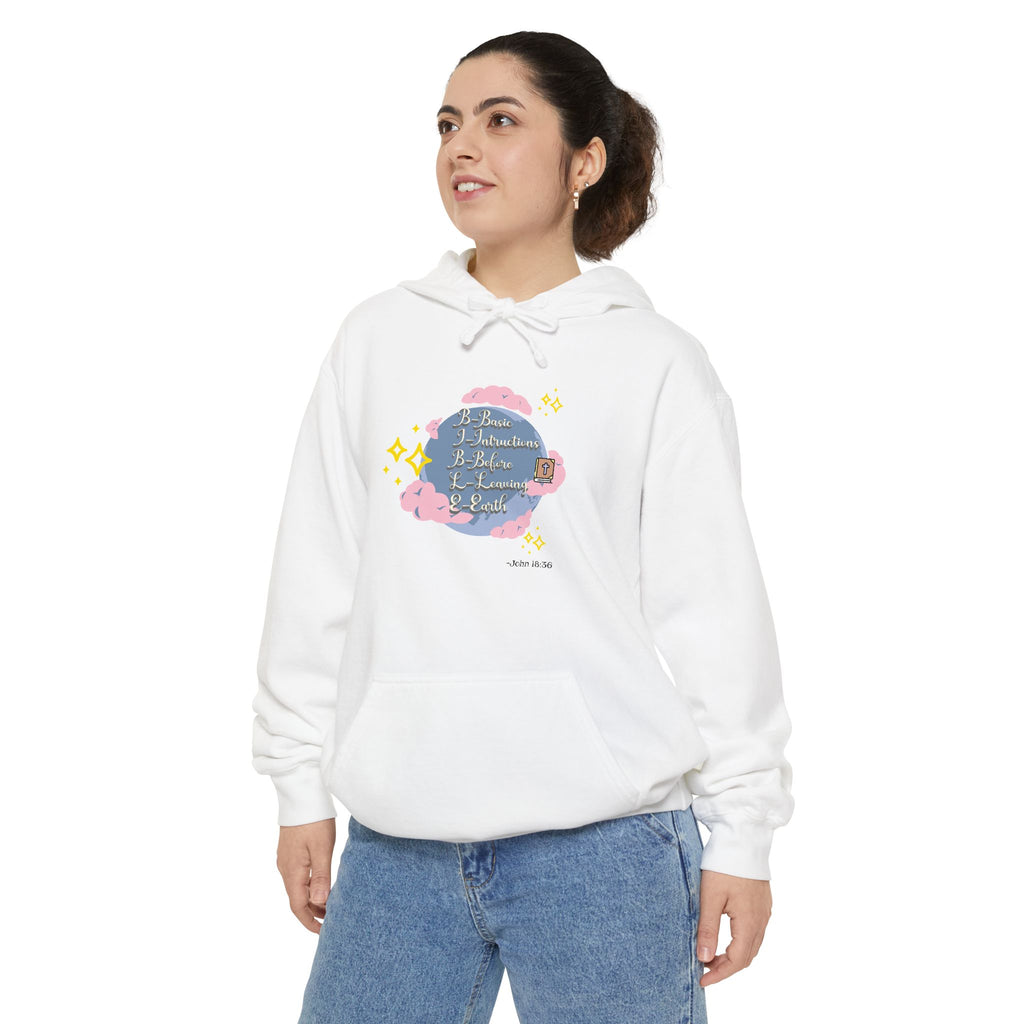 Bible World John 18:36 Hoodie