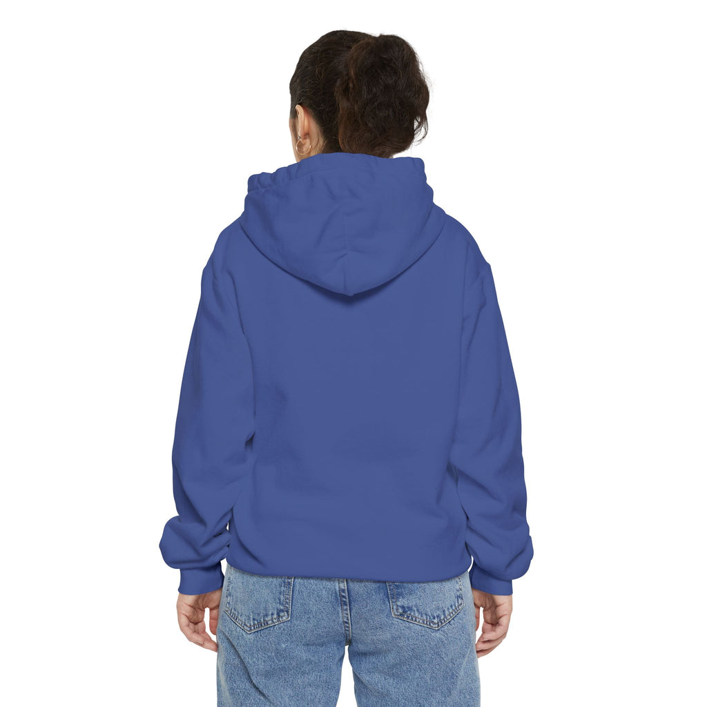 Bible World John 18:36 Hoodie