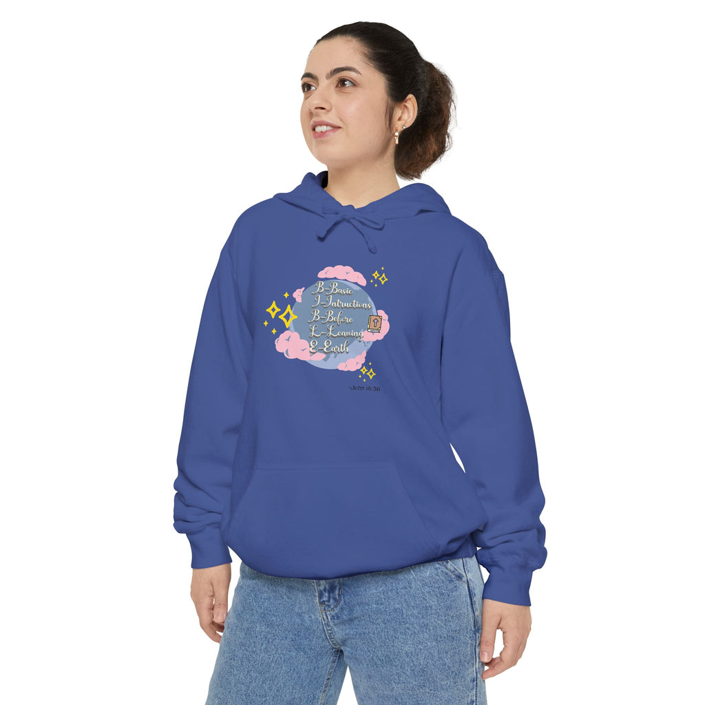 Bible World John 18:36 Hoodie