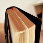 Close-up of a book with black cover and open pages on a blurred background